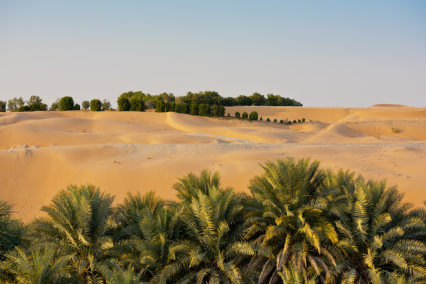 Liwa Oasis, Abu Dhabi